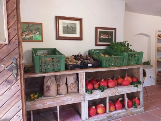 Verein Gemeinschaft am Hochschopf frische regionale produkte direkt im hoftreff