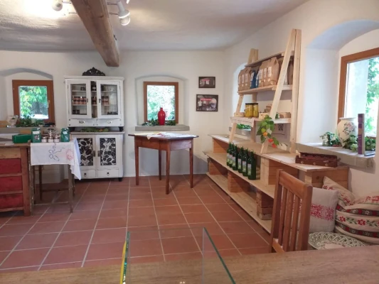 FÖRDERPROJEKTE neu gestalteter raum mit holzdecke, ausstellung und lichtdurchfluteten fenstern – vom werkraum zum hoftreff im muhlviertel