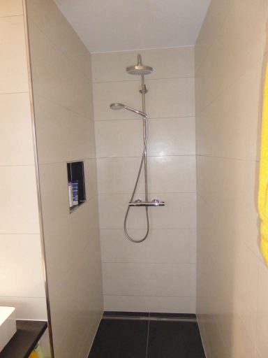 Badezimmer Schweiz – Fertigstellung Dusche Badezimmer Schweiz – Fertigstellung Dusche