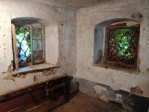 Fenster in die Vergangenheit – überwuchert und vergessen