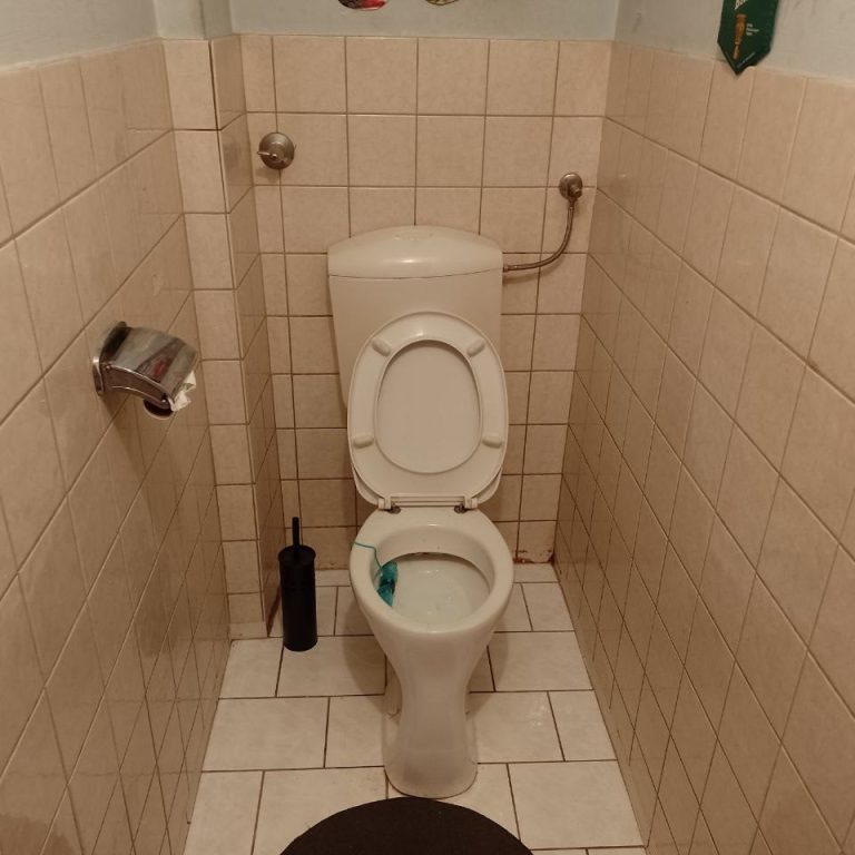 „Zwischen Fliesen und Funktion – ein WC ohne Charme